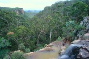 Image of the view from Fred's Gorge lookout.