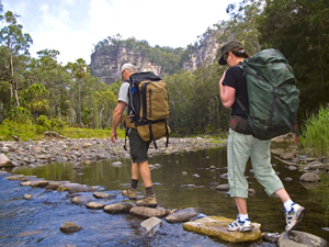 Image of the main track walk at Carnarvon Gorge is also the first section of the Carnarvon Great Walk.