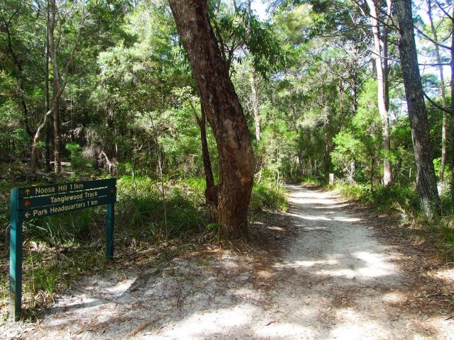 The Tanglewood Walk is one of the park's more isolated inland walks.