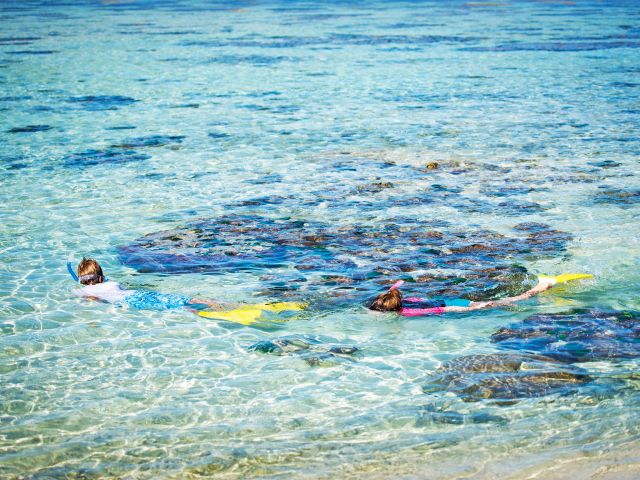 Explore the reef surrounding the island.