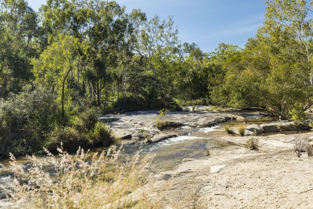 Photo of Lower Davies Creek camping area