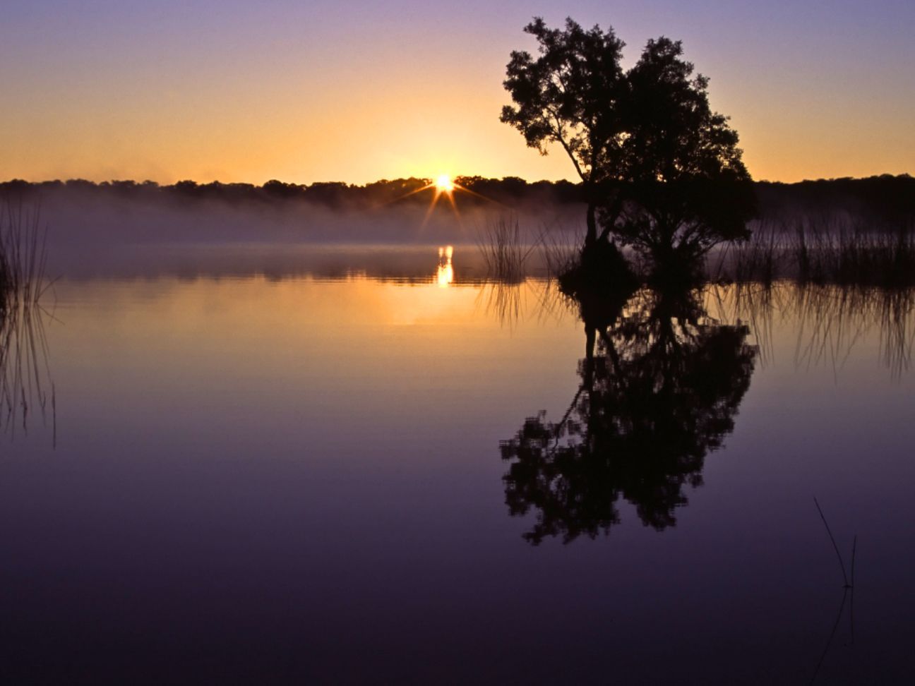 Photo of sunrise across the lake with a tree reflecting in the lake