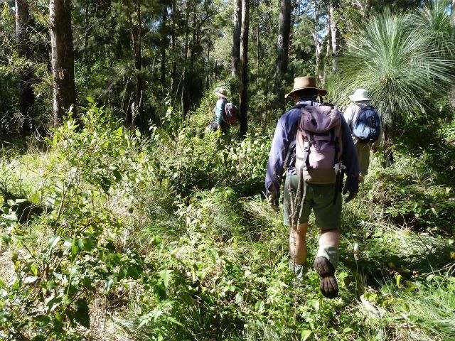 You need specialist skills to get to this remote bush camp.