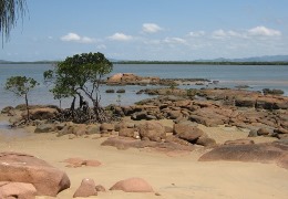 Photo looking over Pancake Creek.