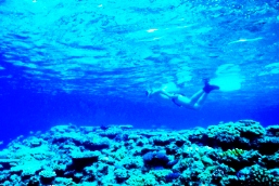 Image of a person snorkelling - know your limitations and always snorkel with a buddy.