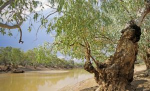 The Paroo River