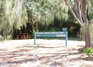 Curlew Beach camping area