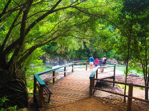 The Cardstone weir is a perfect spot for enjoying a sandwich while overlooking the Tully River. 