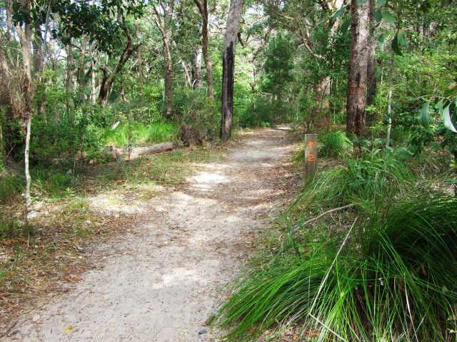 The Tanglewood Walk is clearly marked as you head inland.