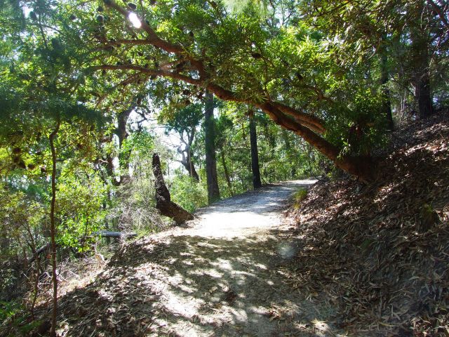 The Noosa Hill Walk is a steady climb.