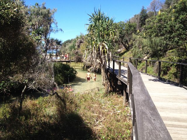 Amble along the boardwalk beside Eli Creek, past pandanus and nectar-filled banksia.