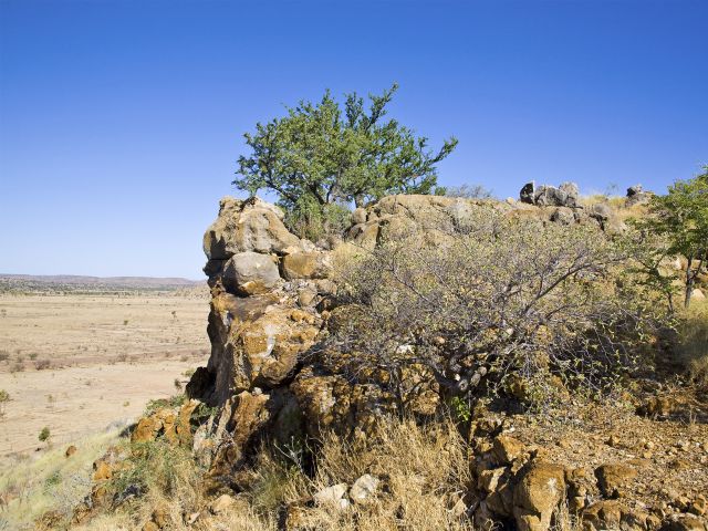 Riversleigh's ancient landscape is one of the top 10 fossil sites in the world.