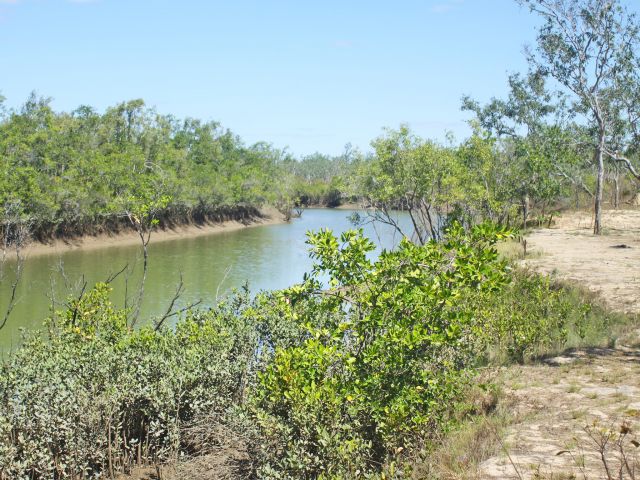 The Bizant River camping area has access to Princess Charlotte Bay.