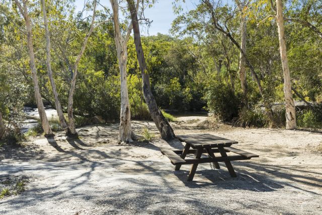 Photo of Lower Davies Creek camping area