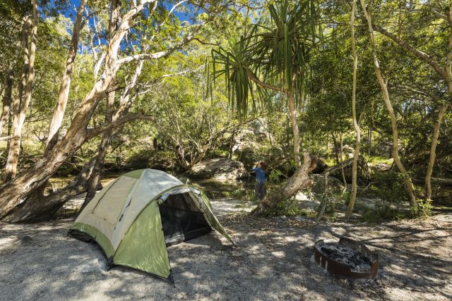 Photo of Camp site 5, Upper Davies Creek camping area