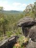 Grass tree lookout.