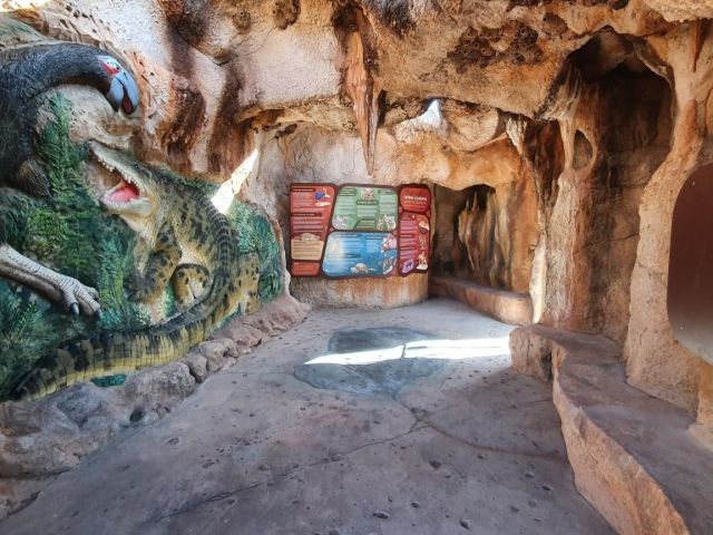 Curious ancient creatures feature in displays.