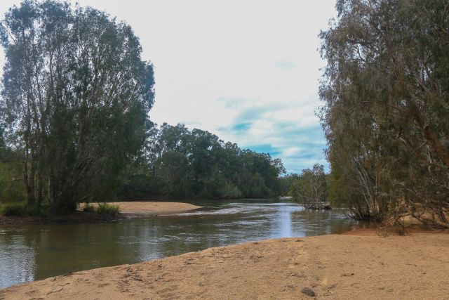 Herbert River near camp site 1.