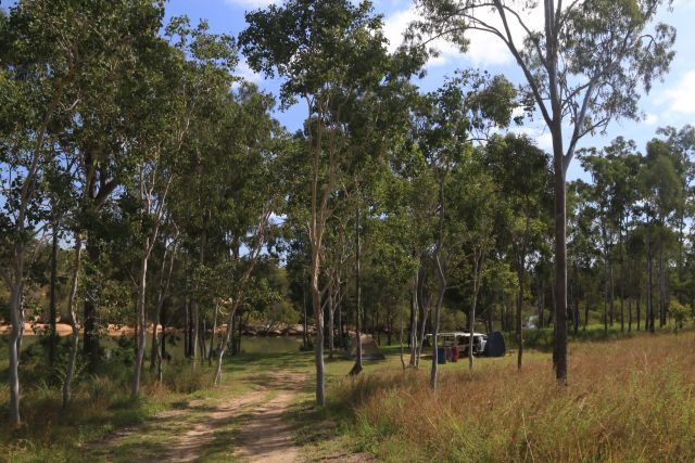 Camp site 2
