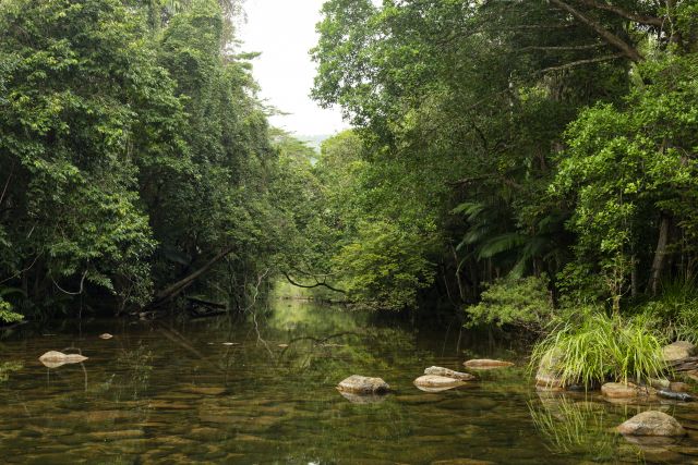 Waterview Creek