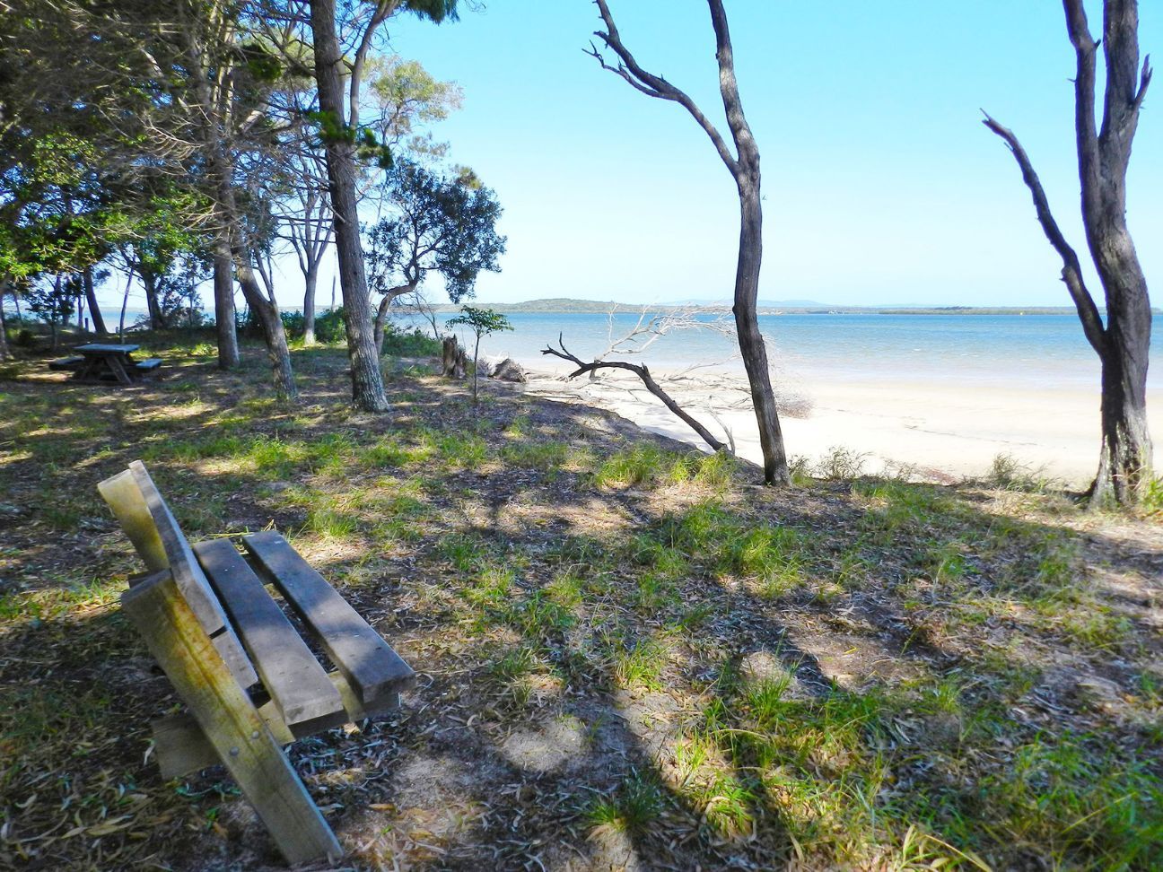 Photo of a bench in the shade overlooking the beach.
