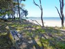 Photo of a bench in the shade overlooking the beach.