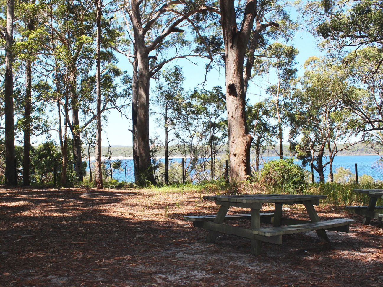 Photo of a shaded lake-front picnic table.
