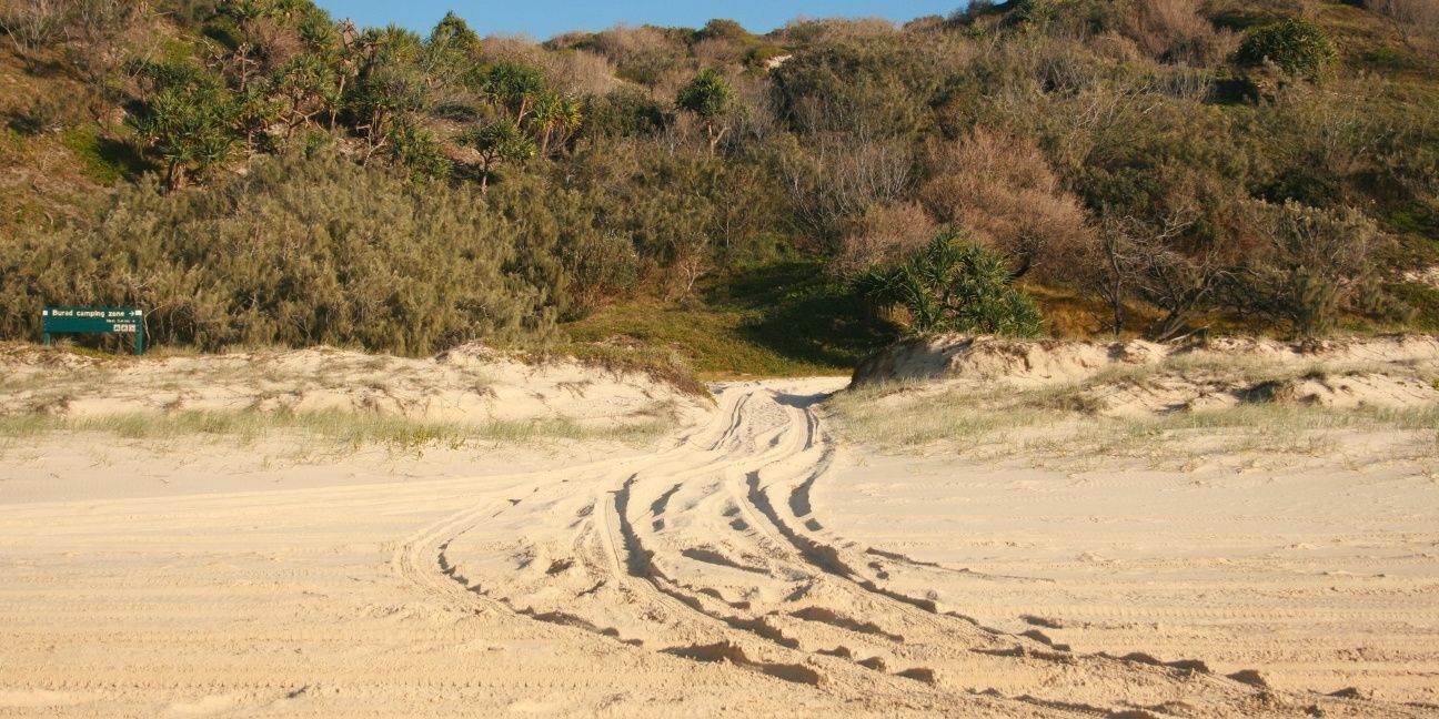 Tyre tracks on a beach leading into a gap between the sand dunes.