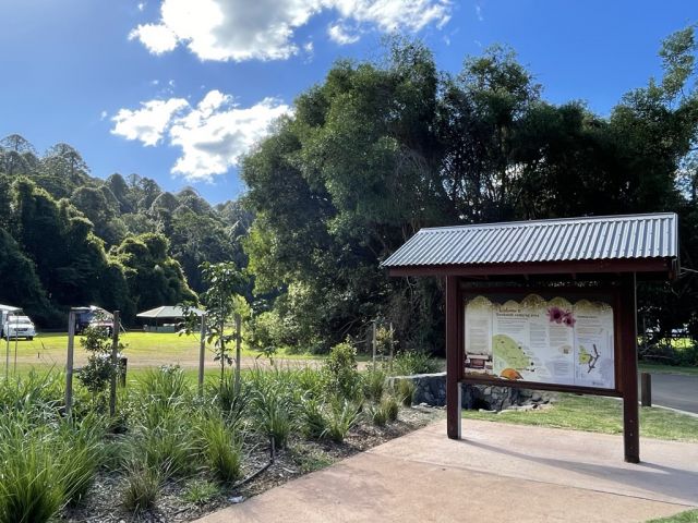 Camp at the popular Dandabah camping area