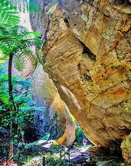 Image showing Wards Canyon. Careful planning will mean an enjoyable walk.