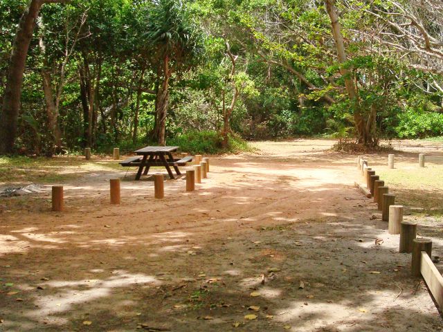 Chilli Beach day-use area has shaded picnic tables on the edge of Chilli Beach.