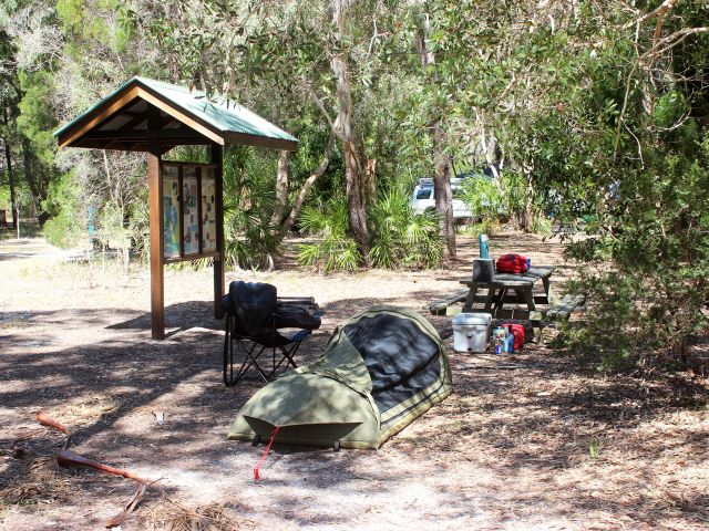 Choose a beautiful camp site nestled in cypress pine woodland.