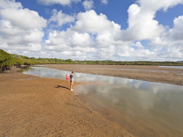 The camping area is behind the mangrove-lined bank of Middle Creek.