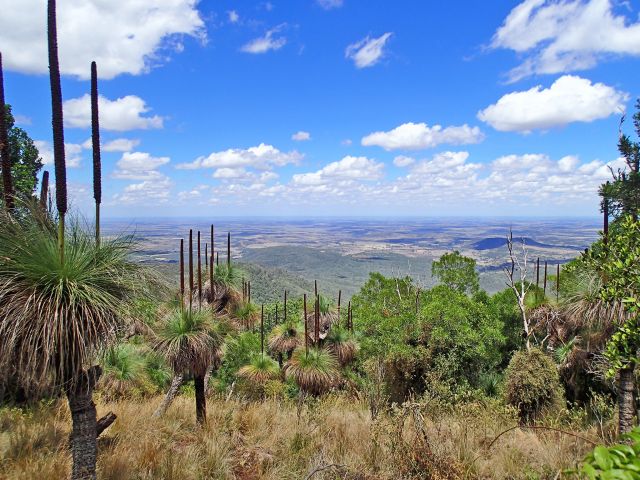 Enjoy amazing vistas of the park and surrounding country from the summit of Mount Kiangarow.