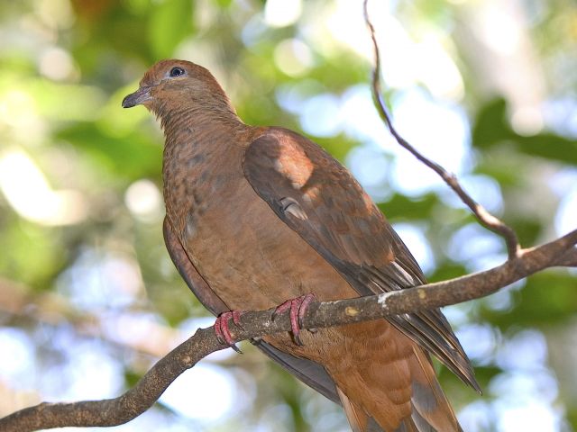 Westcott picnic area has excellent birdwatching.