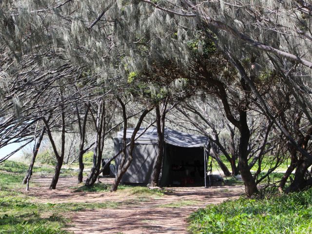Camp in the dappled shade of coastal she oaks and be cooled by the ocean breezes.