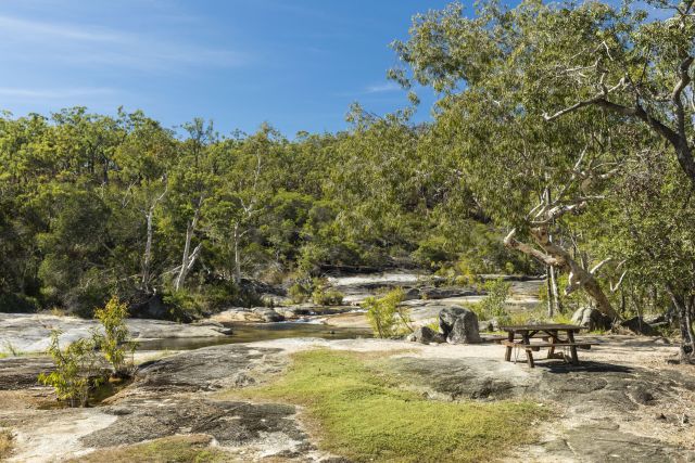 Photo of Lower Davies Creek camping area