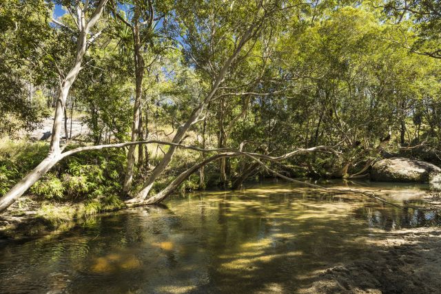Photo of Camp site 5, Upper Davies Creek camping area