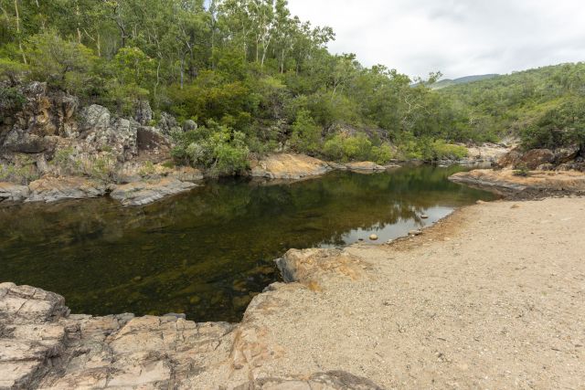Take a refreshing dip from the sandy bank of Alligator Creek.