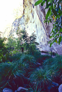 Big Bend walkers' camp is located on a sweeping bend of Carnarvon Creek.