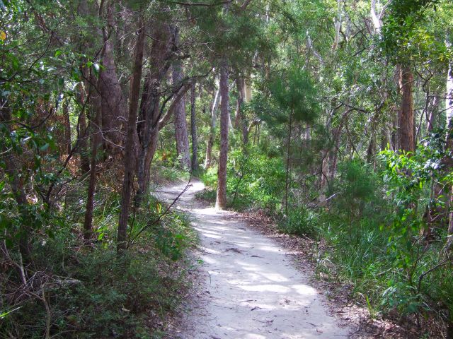 Bring the binoculars on an early morning or dusk walk to see birds and wildlife along the Tanglewood Walk.