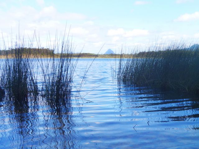 The Ewen Maddock mountain bike trail explores fern gullies, blackbutt forests and melaluca wetlands on the banks of the Ewen Maddock Dam.