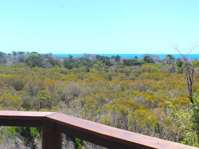 Peek over the tree tops to the ocean from the lookout.