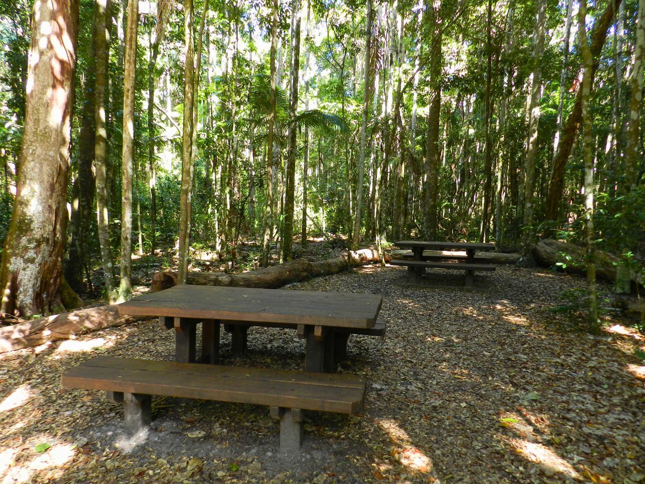 Photo of a picnic bench shaded by trees