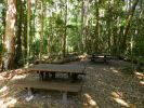 Photo of a picnic bench shaded by trees