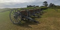 Five artillery guns lined up on a grassy hill.