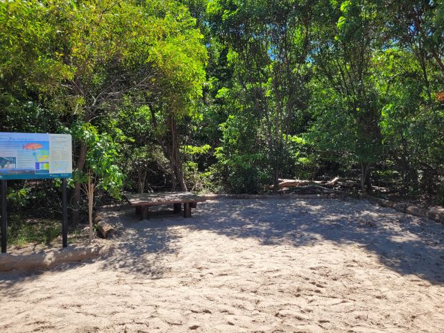 Photo of a spacious, shady camp site at Chance Bay, Whitsunday Island.