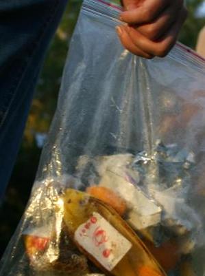 Image of a zip-lock bag which is ideal for carrying out all food scraps and rubbish.