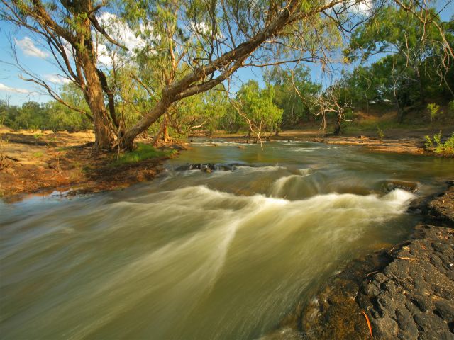 Meander along the bank of the Normanby River on the Kalpowar Discovery walk.