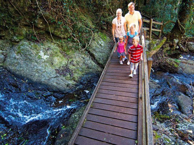 Photo of a family exploring the rainforest on the Scenic circuit and Barker Creek circuit.